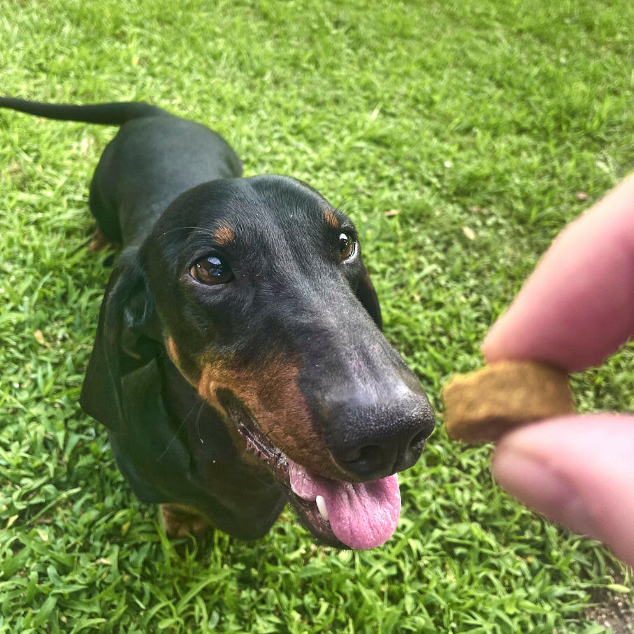 Prebiotics Complex - BROONO