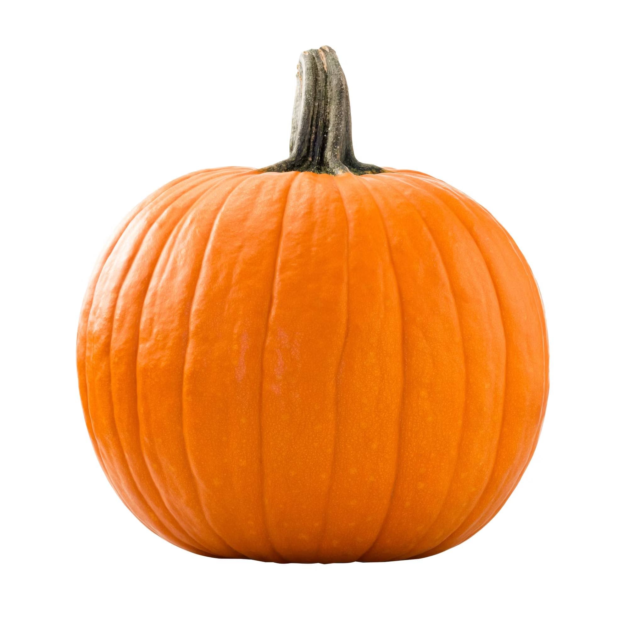 Orange pumpkin taken from the side