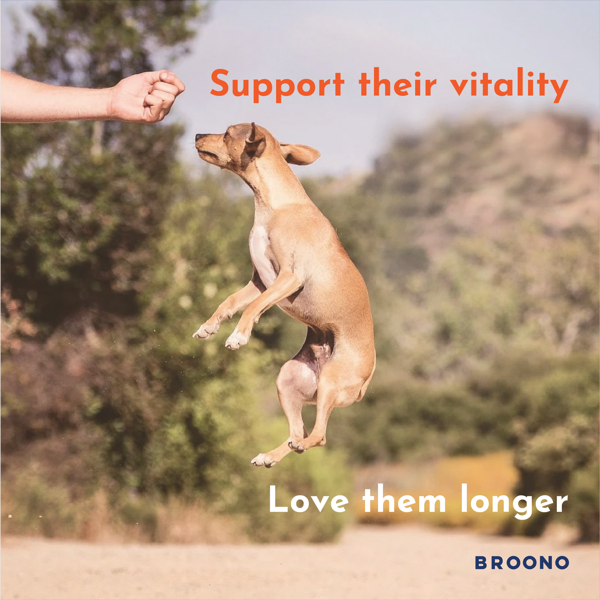 Vitamineral Complex - Jumping Dog - Longevity - BROONO