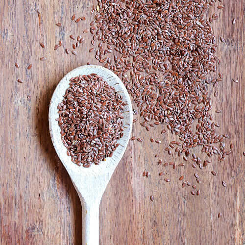 Why Your Dog Needs the Best Supplements