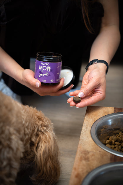 Person holding a Broono Move jar with a dog and food bowl in the background