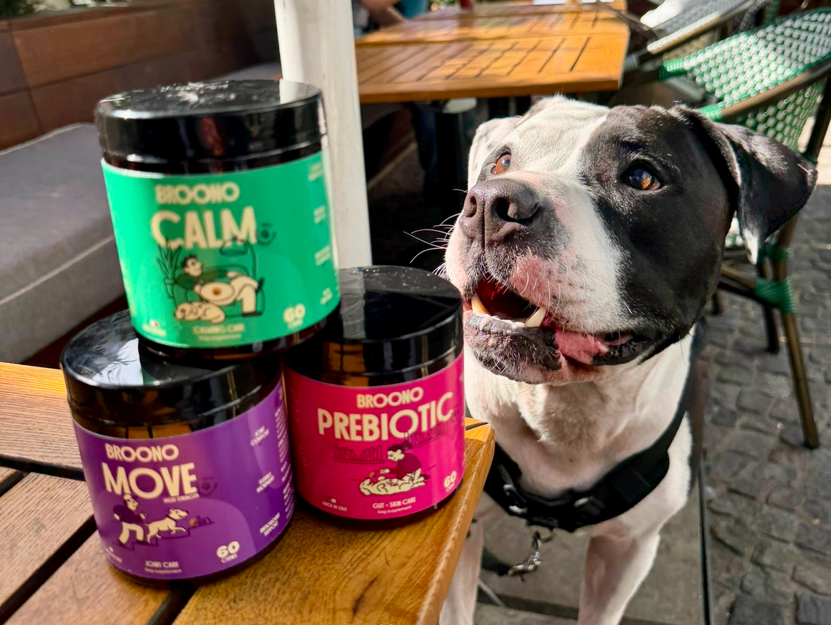 A limited number of dogs will get early access to our new range