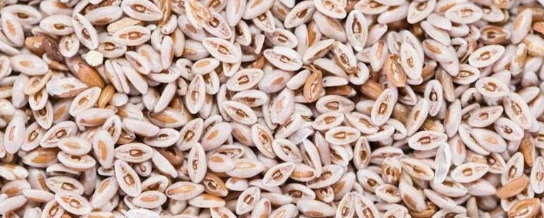 Psyllium split seeds