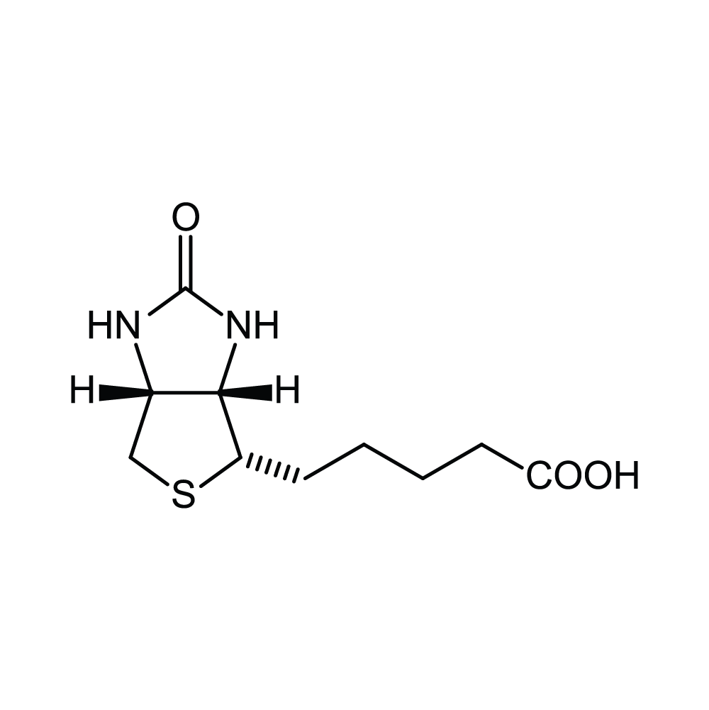 Vitamin B7 chemical structure